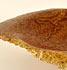 >Holzschale Goldfield